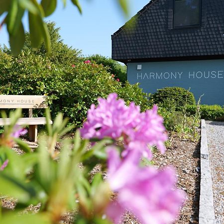 Hotel Harmony House Handewitt Exterior foto